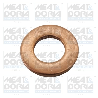 Seal Ring, injector